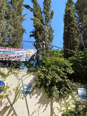 דיור מוגן