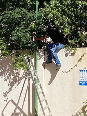 דיור מוגן